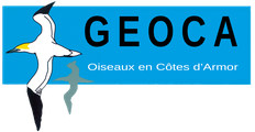 GEOCA